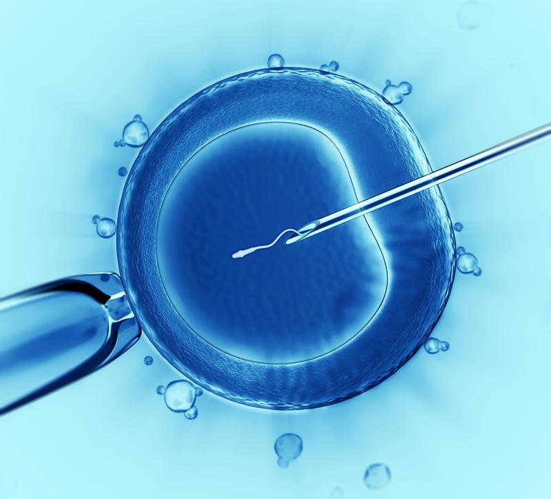 clínica de fertilidad, doctor Rafael Camacho